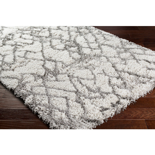 Surya Alta Shag ASG-2300 Off-White Modern Machinemade Rug