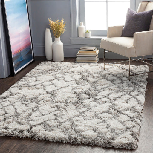 Surya Alta Shag ASG-2300 Off-White Modern Machinemade Rug