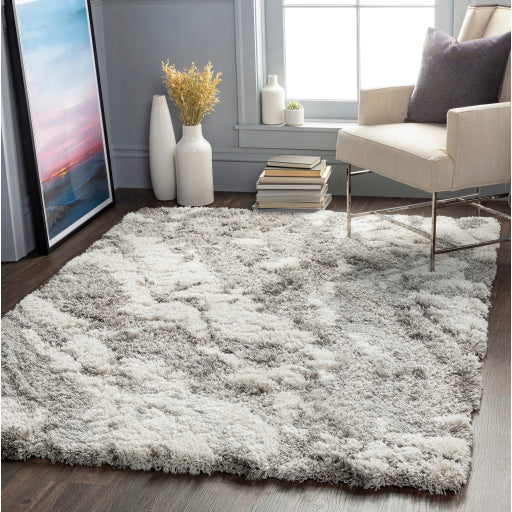 Surya Alta Shag ASG-2301 Gray Modern Machinemade Rug