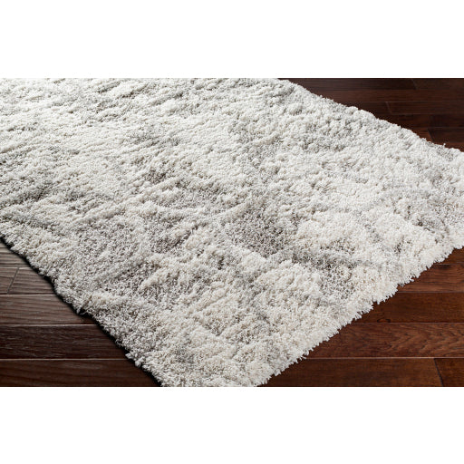 Surya Alta Shag ASG-2302 Light Gray Modern Machinemade Rug