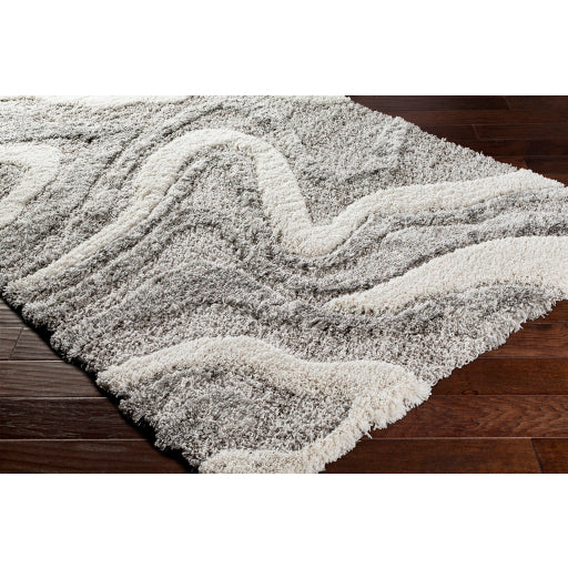 Surya Alta Shag ASG-2303 Charcoal Modern Machinemade Rug