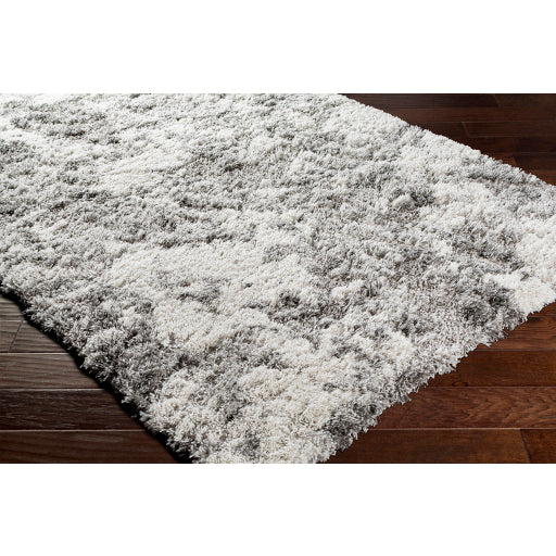 Surya Alta Shag ASG-2304 Off-White Modern Machinemade Rug