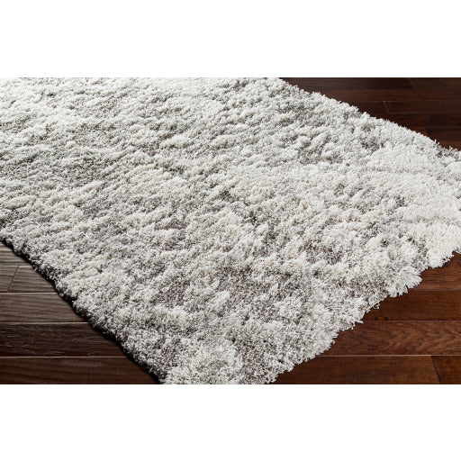 Surya Alta Shag ASG-2305 Off-White Modern Machinemade Rug