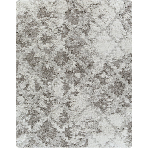 Surya Alta Shag ASG-2305 Off-White Modern Machinemade Rug