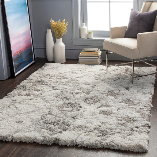 Surya Alta Shag ASG-2305 Off-White Modern Machinemade Rug