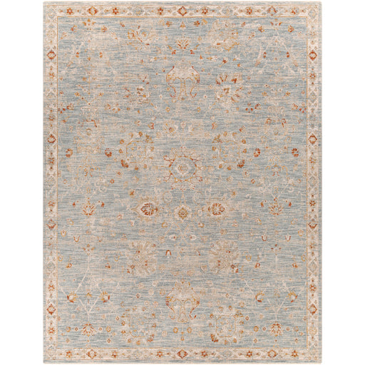 Surya Avant Garde AVT-2322 Denim Traditional Machinemade Rug