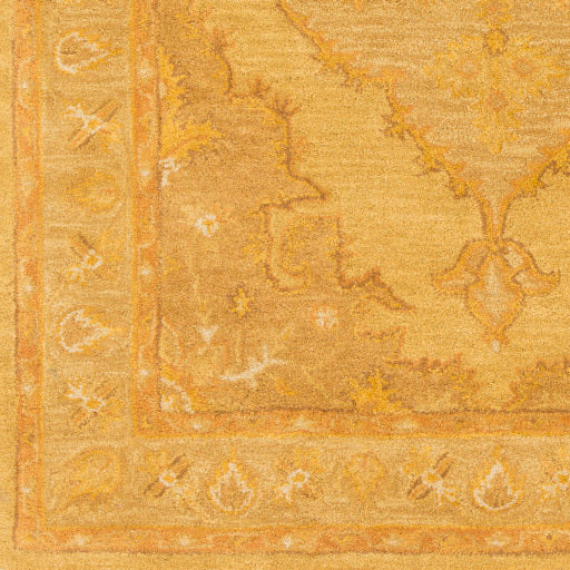 Surya Middleton AWHR-2059 Mustard Traditional Tufted Rug