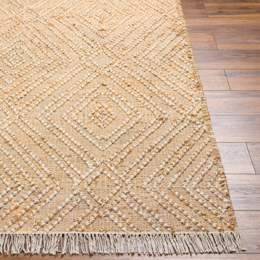 Surya Adalyn AYD-2300 Beige Cottage Woven Rug