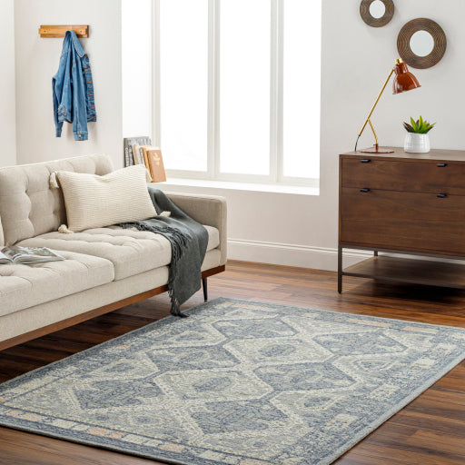 Surya Addyson AYO-2301 Blue Traditional Tufted Rug