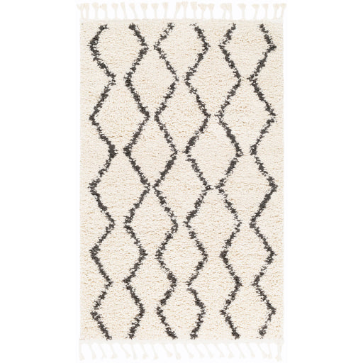 Surya Berber Shag BBE-2303 Charcoal Global Machinemade Rug