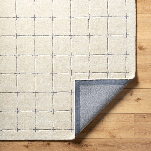 Surya Brook BKO-2332 Tan Modern Tufted Rug