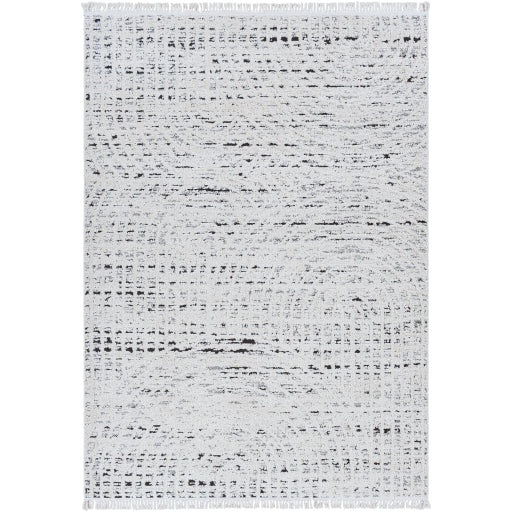 Surya Berlin BLR-2303 Ivory Modern Machinemade Rug