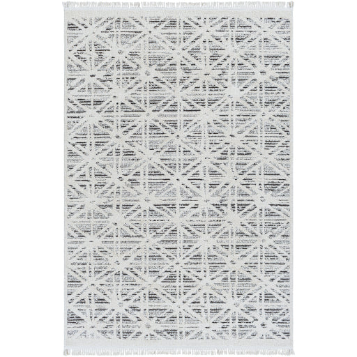 Surya Berlin BLR-2304 Sage Global Machinemade Rug