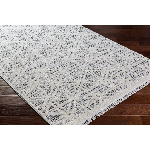 Surya Berlin BLR-2304 Sage Global Machinemade Rug