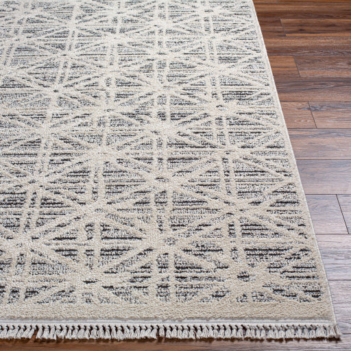 Surya Berlin BLR-2304 Sage Global Machinemade Rug