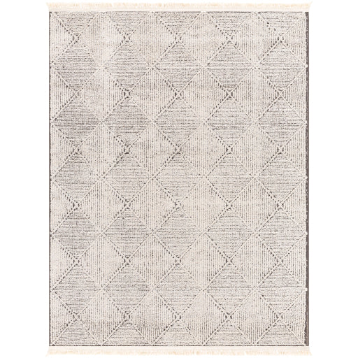 Surya Berlin BLR-2315 Ivory Modern Machinemade Rug