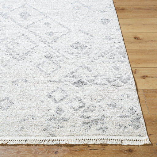 Surya Berlin BLR-2316 Ivory Modern Machinemade Rug