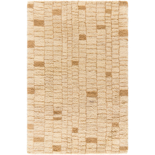 Surya Beni Moroccan BMC-2306  Modern Tufted Rug