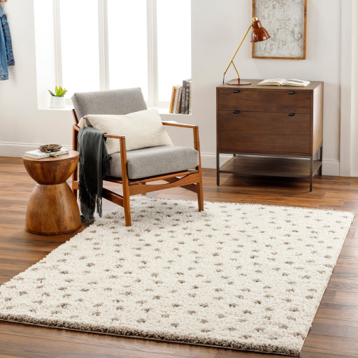 Surya Birmingham BMM-2302 Ivory Modern Machinemade Rug