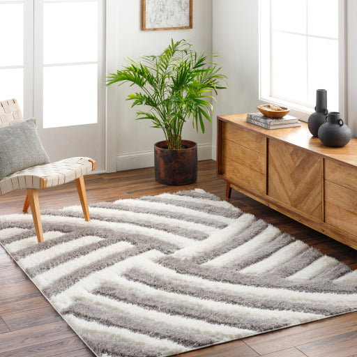 Surya Bologna BOG-2303 Gray Modern Machinemade Rug