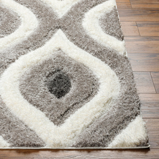 Surya Bologna BOG-2304 Gray Modern Machinemade Rug