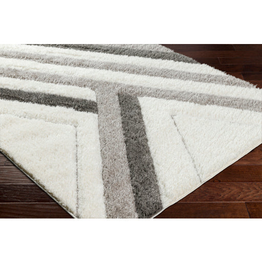 Surya Bologna BOG-2310 Off-White Modern Machinemade Rug