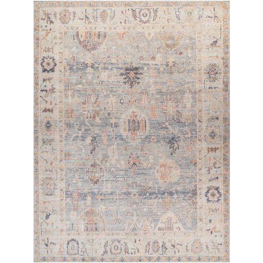 Becki Owens Marlene BOMN - 2306 Pale Blue Traditional Rug - Rugs - Becki Owens - Atlanta Designer Rugs