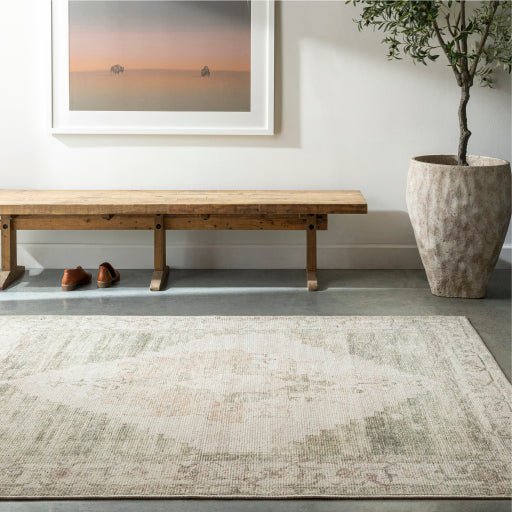 Becki Owens Luca BONC - 2302 Ivory Traditional Rug - Rugs - Becki Owens - Atlanta Designer Rugs