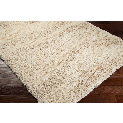 Surya Berkley BRK-3300 Cream Modern Woven Rug