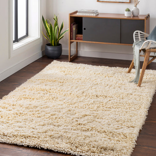 Surya Berkley BRK-3300 Cream Modern Woven Rug