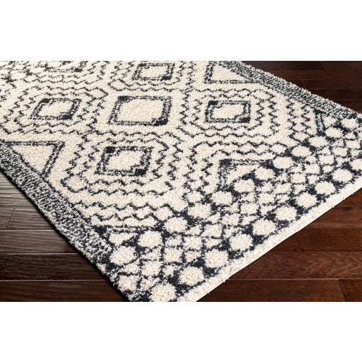 Surya Beni Shag BSH-2300 Black Global Machinemade Rug