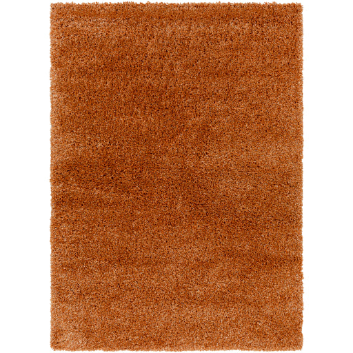 Surya Bogota Shag BTG-2306 Burnt Orange Modern Machinemade Rug