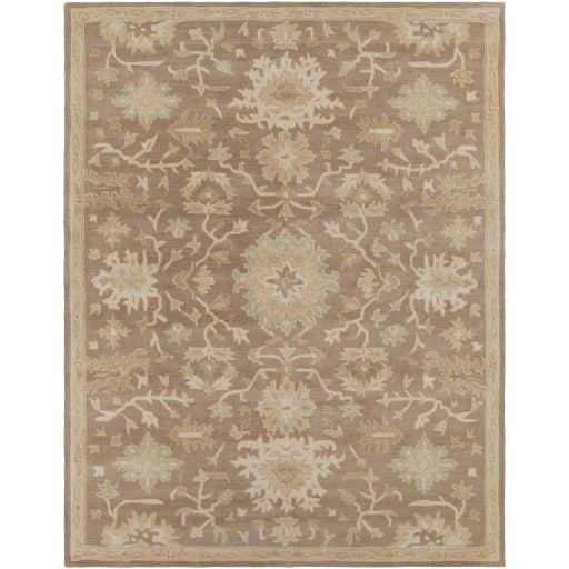 Surya Caesar CAE-1149 Dark Brown Traditional Tufted Rug