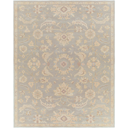 Surya Caesar CAE-1162 Pale Blue Traditional Tufted Rug