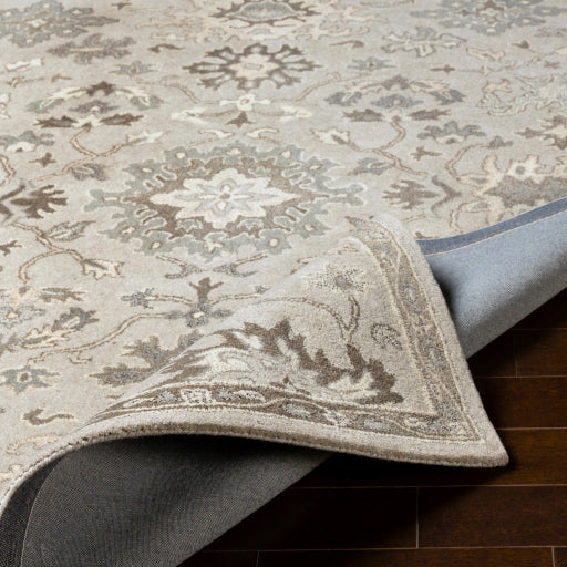 Surya Caesar CAE-1197 Taupe Traditional Tufted Rug