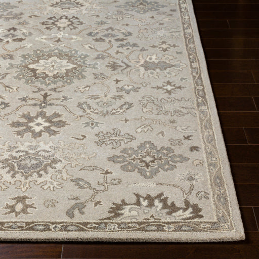 Surya Caesar CAE-1197 Taupe Traditional Tufted Rug