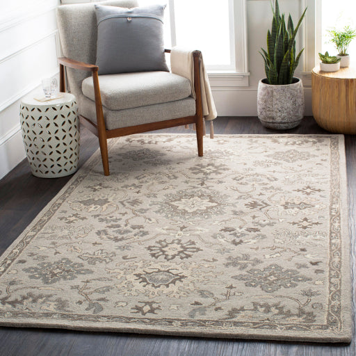 Surya Caesar CAE-1197 Taupe Traditional Tufted Rug