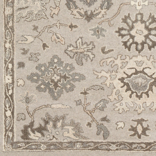 Surya Caesar CAE-1197 Taupe Traditional Tufted Rug