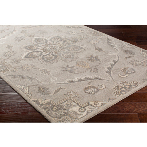 Surya Caesar CAE-1201 Taupe Traditional Tufted Rug