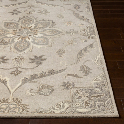 Surya Caesar CAE-1201 Taupe Traditional Tufted Rug