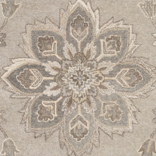 Surya Caesar CAE-1201 Taupe Traditional Tufted Rug