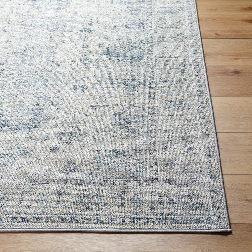 Surya Calhoun CAH-2301 Beige Traditional Machinemade Rug