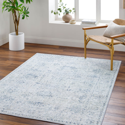 Surya Calhoun CAH-2301 Beige Traditional Machinemade Rug