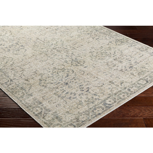 Surya Calhoun CAH-2305 Beige Traditional Machinemade Rug