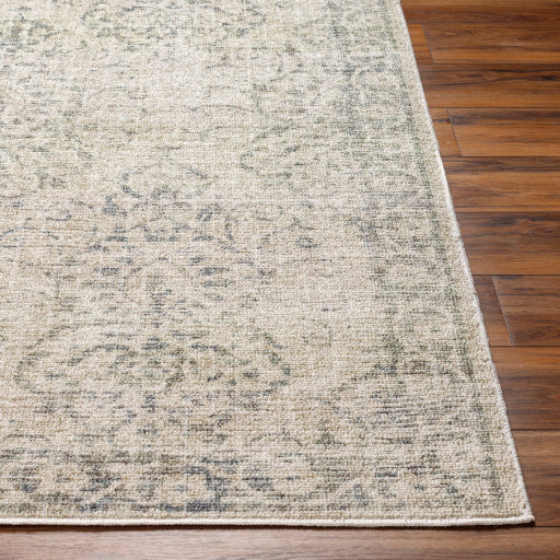 Surya Calhoun CAH-2305 Beige Traditional Machinemade Rug