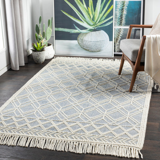 Surya Casa DeCampo CDC-2300 Ivory Cottage Woven Rug