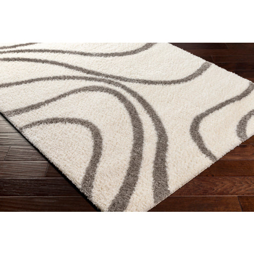 Surya Cloudy Shag CDG-2300 Off-White Modern Machinemade Rug