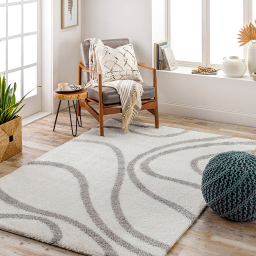 Surya Cloudy Shag CDG-2300 Off-White Modern Machinemade Rug