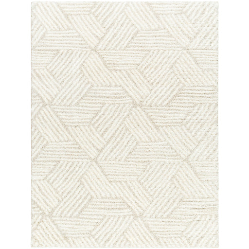 Surya Cloudy Shag CDG-2319 Off-White Modern Machinemade Rug