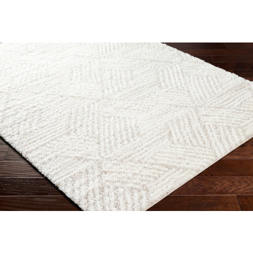 Surya Cloudy Shag CDG-2319 Off-White Modern Machinemade Rug